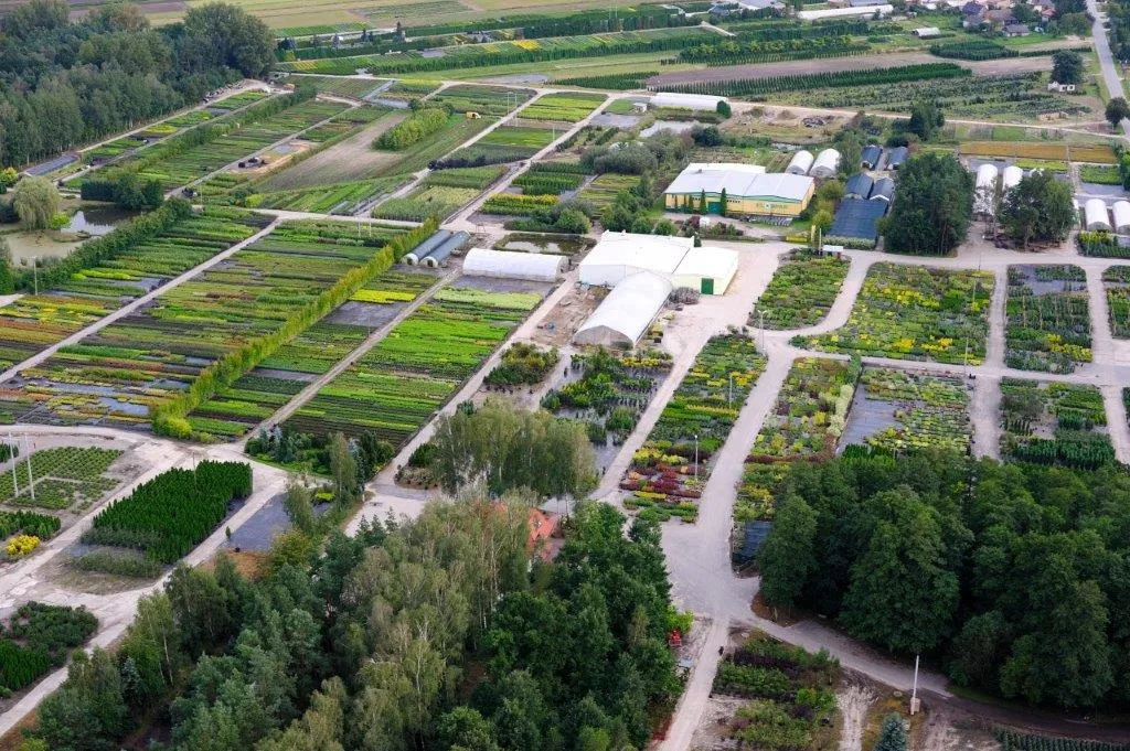 Plantskola för växter